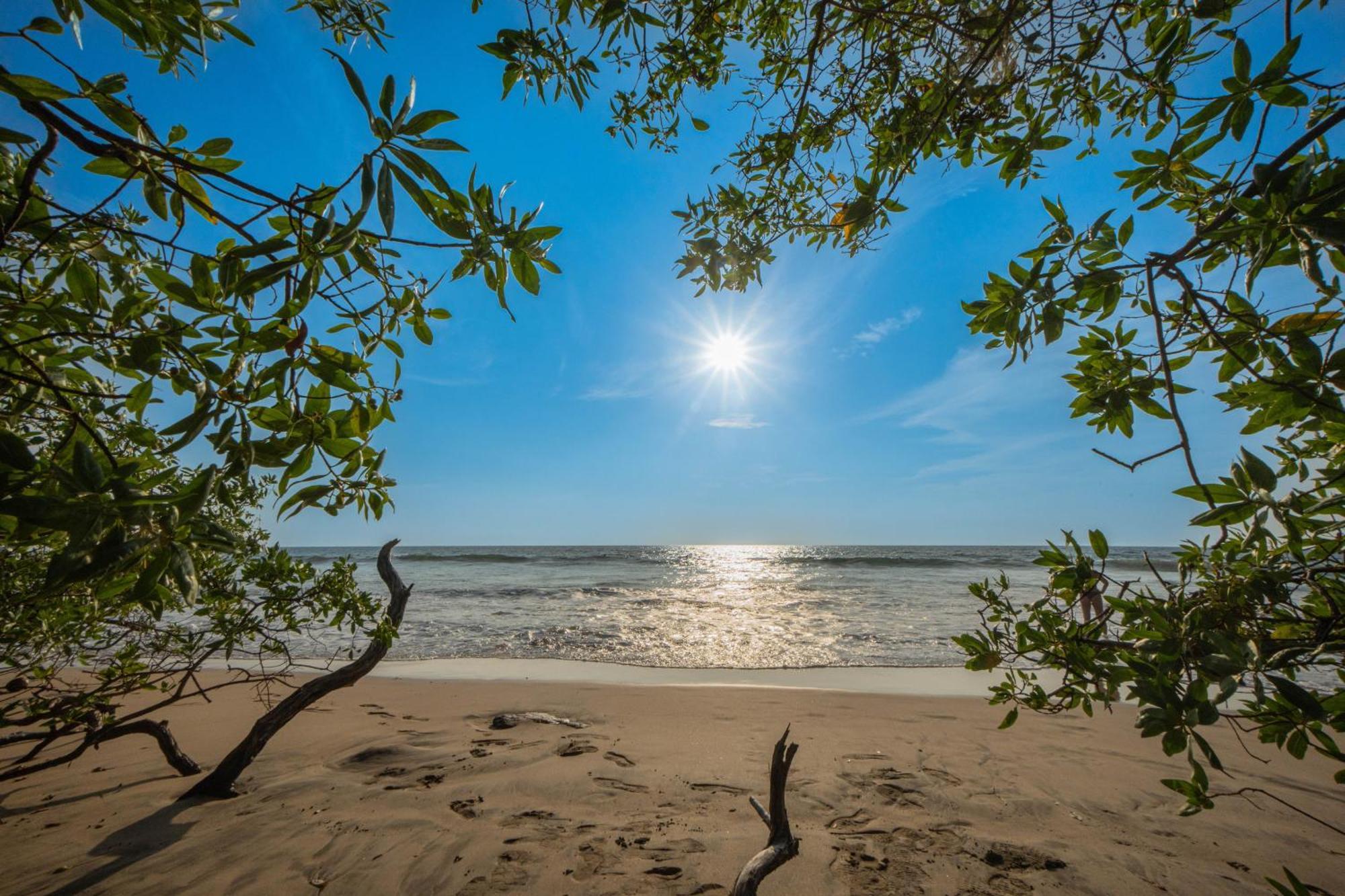 Villas Vr Beachwalk Avellanas Playa Avellana Eksteriør bilde